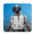 pubg日韩服 v2.6.4