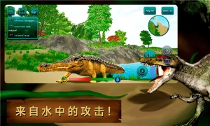 诅咒之岛2025最新版本
