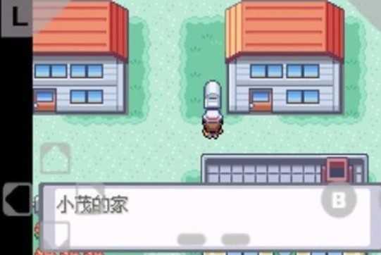 口袋妖怪火红中文版图2