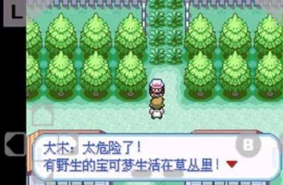 口袋妖怪火红中文版图1