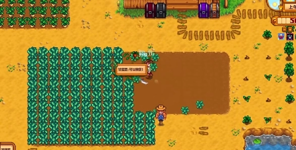 星露谷物语多人联机版截图2