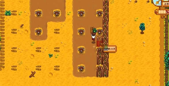 星露谷物语多人联机版截图4