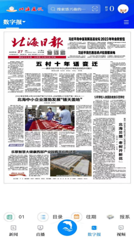 点击查看大图