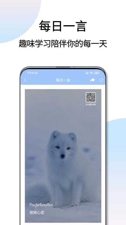 点击查看大图