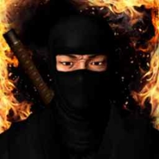 忍者武士