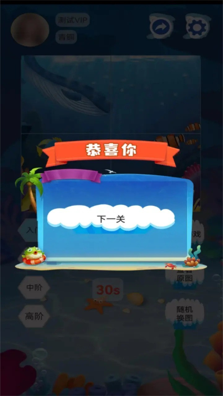 点击查看大图