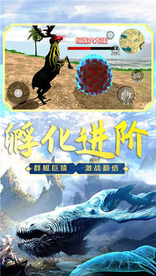 点击查看大图