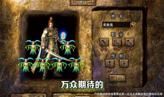 点击查看大图