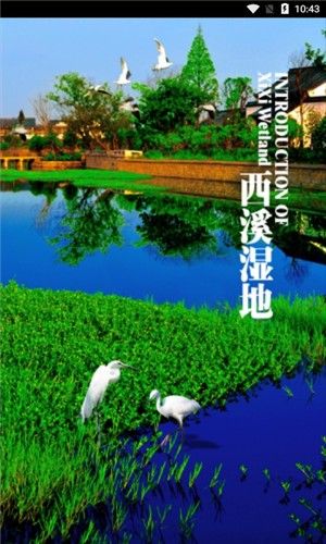 西溪湿地旅游攻略2025 