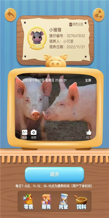 点击查看大图
