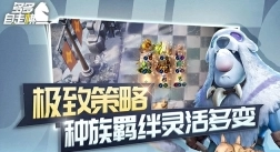 点击查看大图