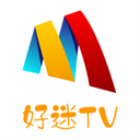 好迷T