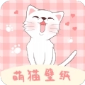 萌猫桌面壁纸