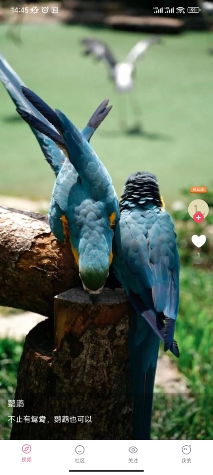 点击查看大图
