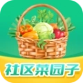 社区菜园子