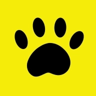 养猫日记安卓版