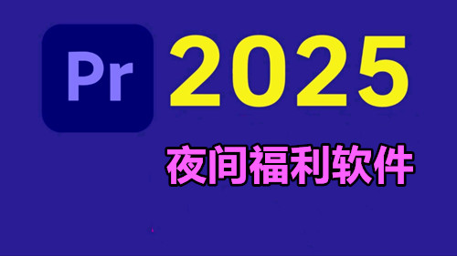 夜间福利软件2025