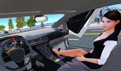 carsimulator