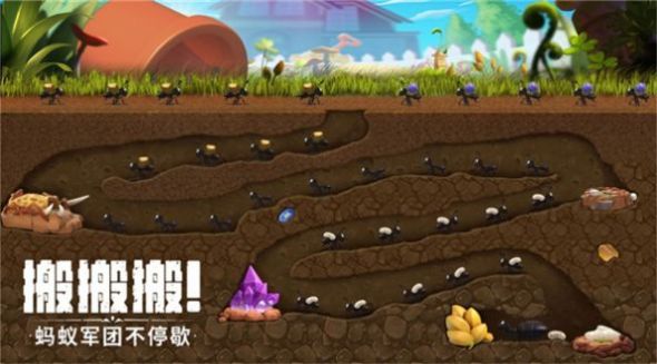 机智的小动物图2