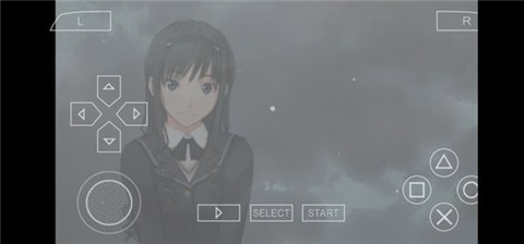 点击查看大图