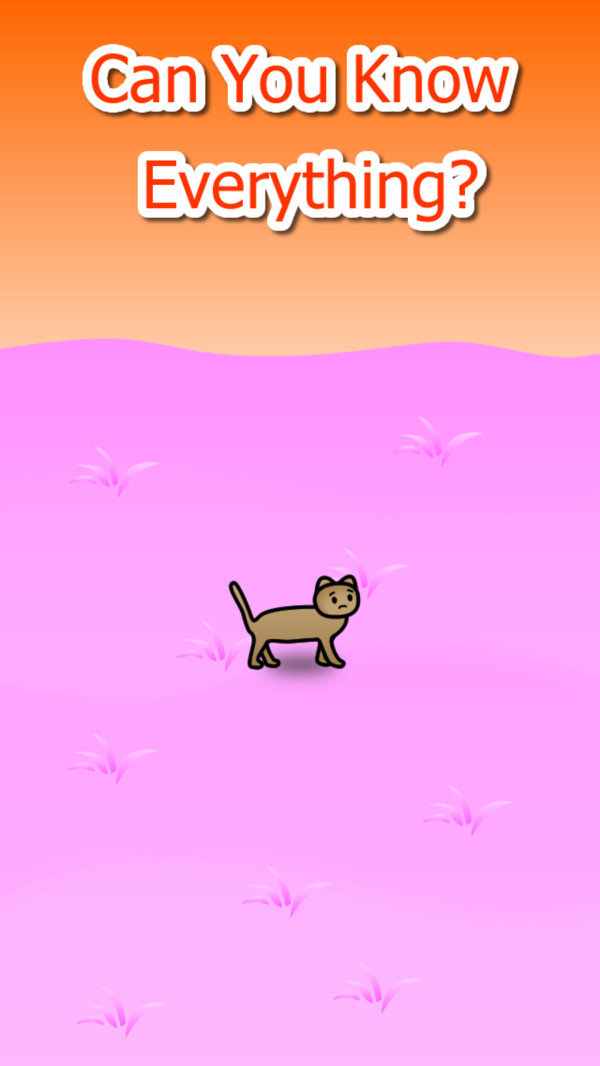 流浪猫的冒险