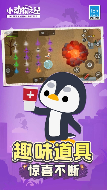 小动物之星 