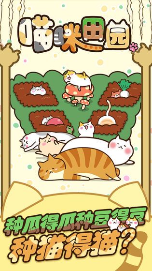 猫咪的小院安卓版