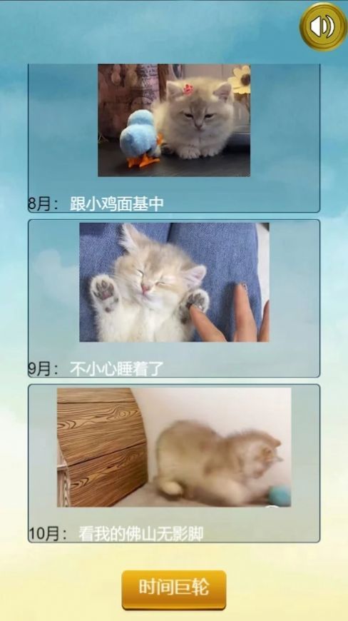 猫的一生重启模拟器最新版