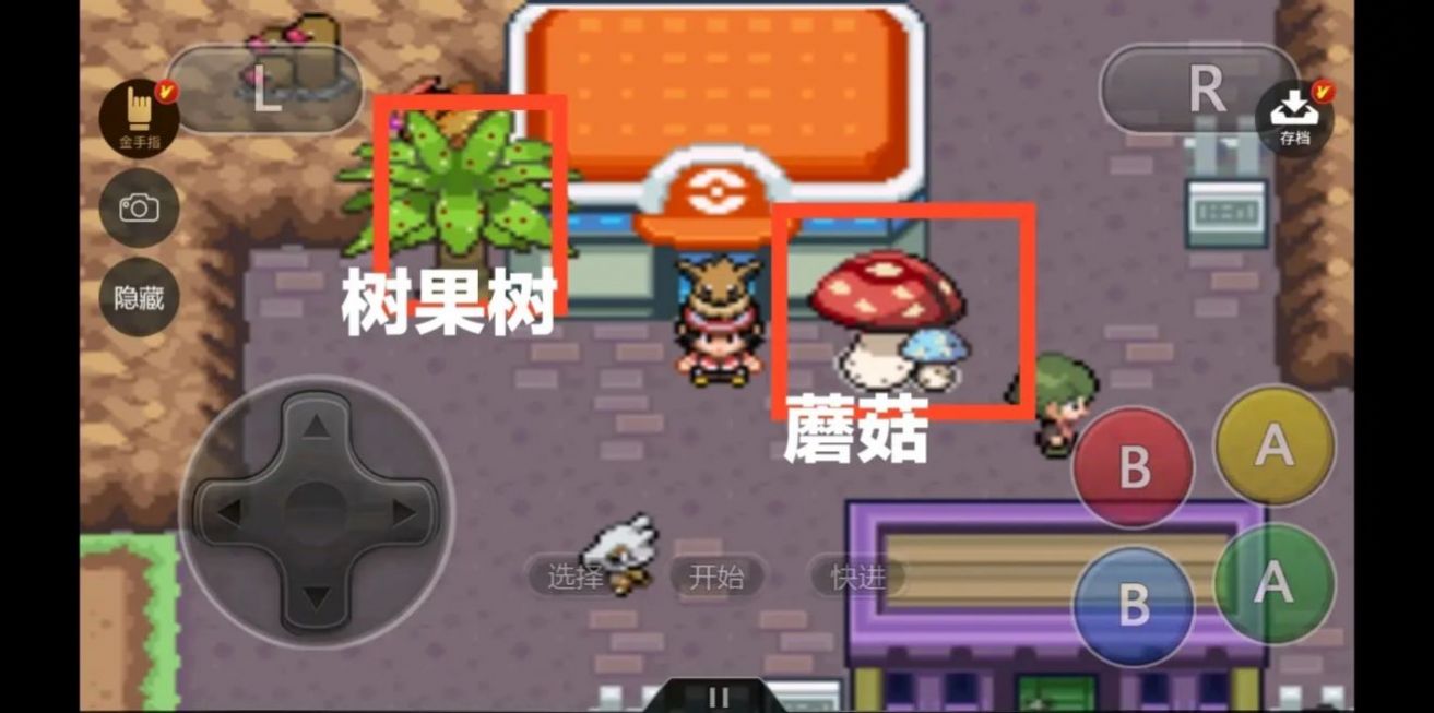 点击查看大图