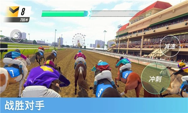 点击查看大图