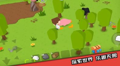 点击查看大图