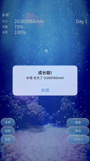 养育水母的治愈图3
