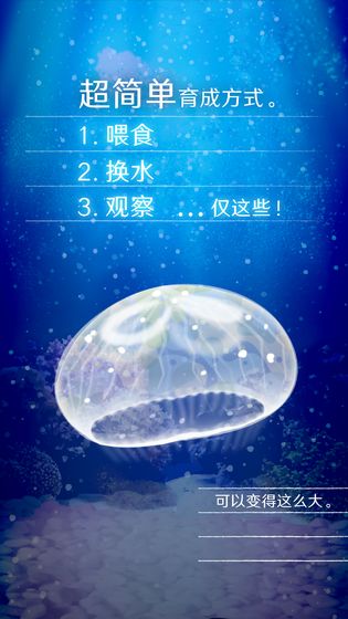 养育水母的治愈图4