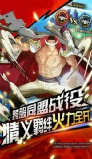 草帽海贼团的奇妙冒险攻略版