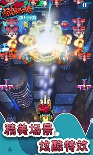 功夫鸡