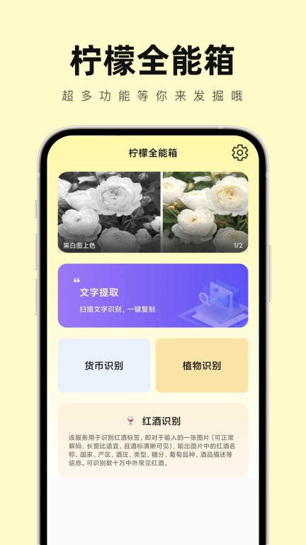点击查看大图