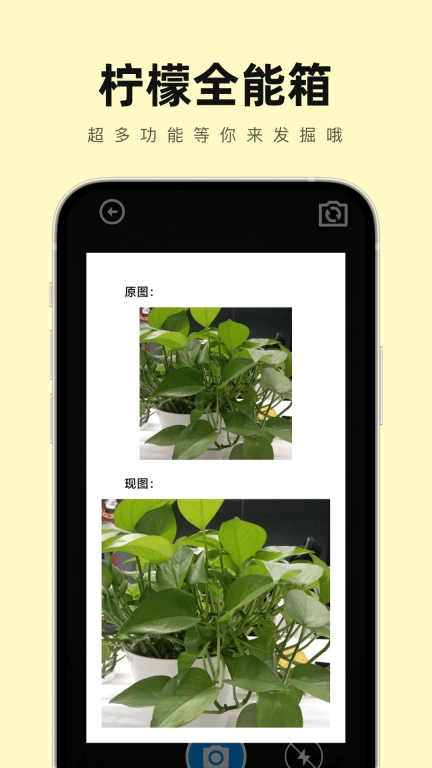 点击查看大图