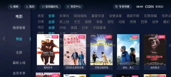 点击查看大图