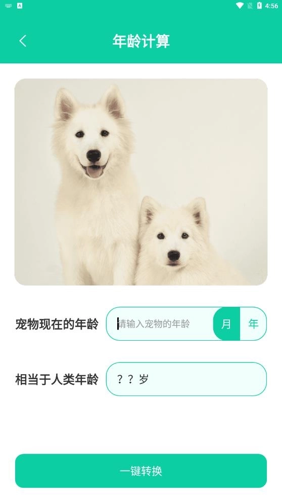 点击查看大图