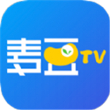 麦豆t