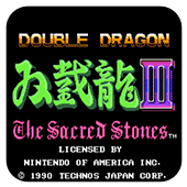 双截龙