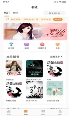 点击查看大图