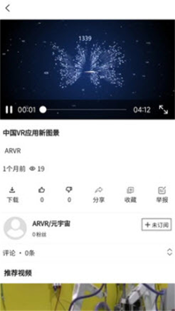 氡氡猫