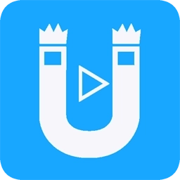 磁力链接播放器app