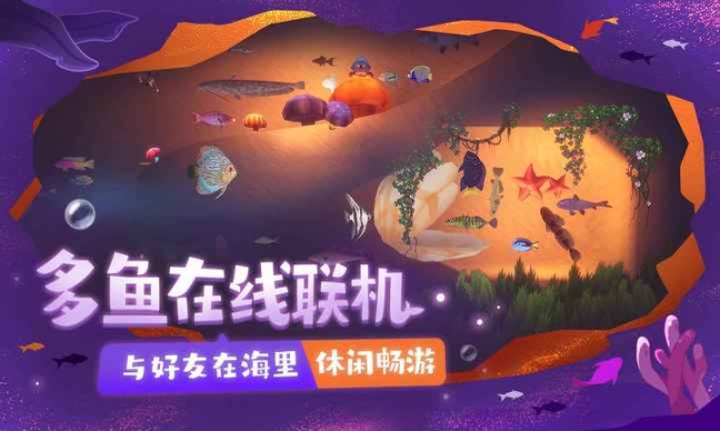 点击查看大图