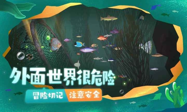 点击查看大图