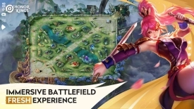 王者荣耀国际服中文版截图2