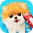 宠物修个毛游戏官方版安卓版