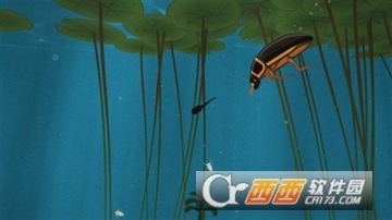 小蝌蚪手游