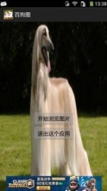 点击查看大图